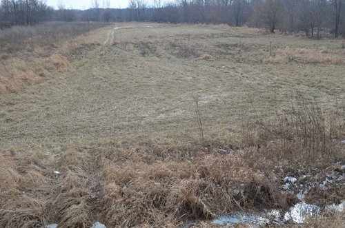 Property photo 7 - East Allen County Land Auction - 40 Acres in 2 Tracts